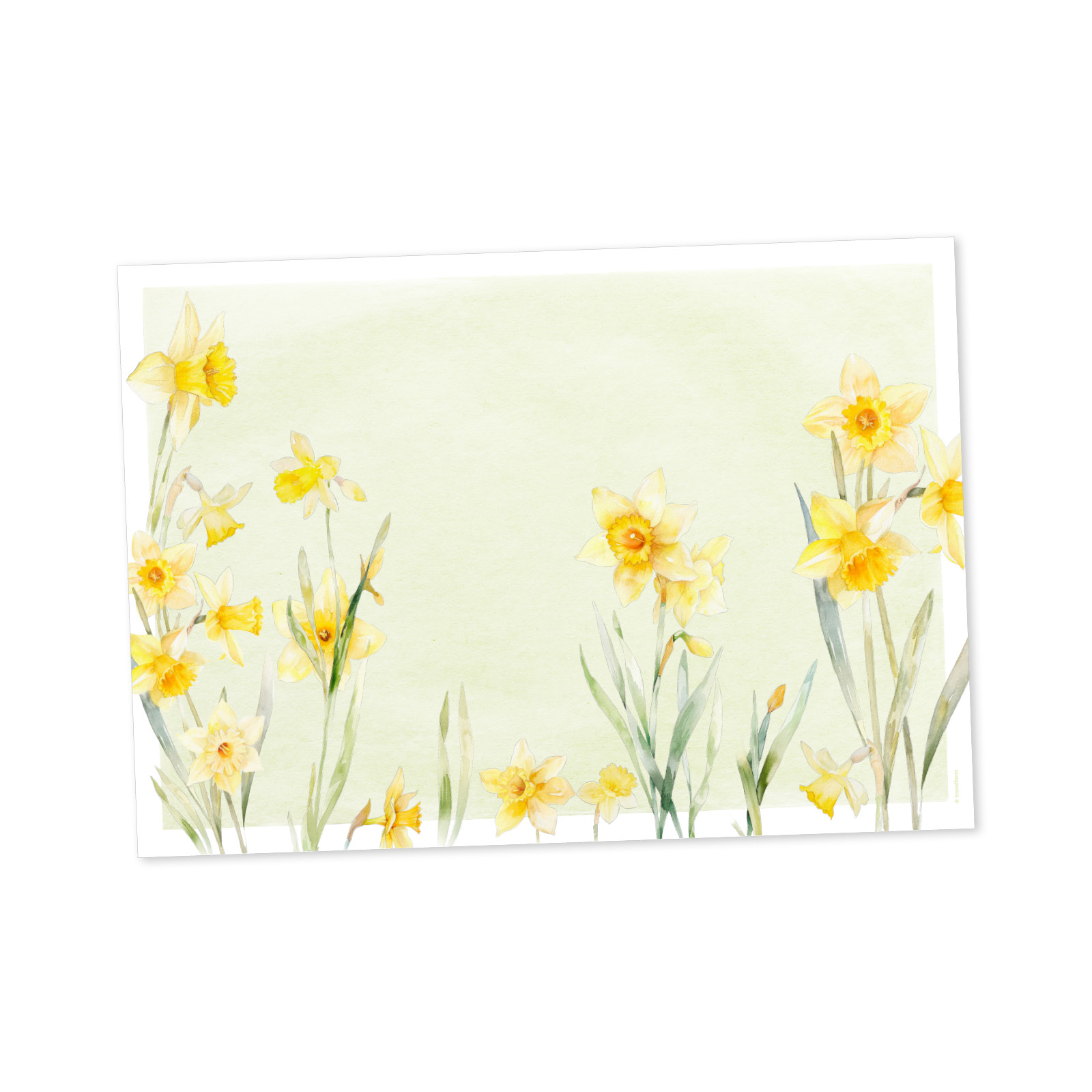 Papiertischset SUNNY BLOOM 4 Sujets à 12 Blatt