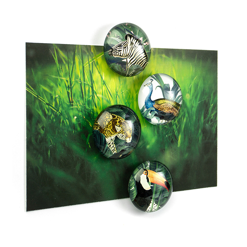 EYE-Magnete ROYAL GARDEN 4er Set 