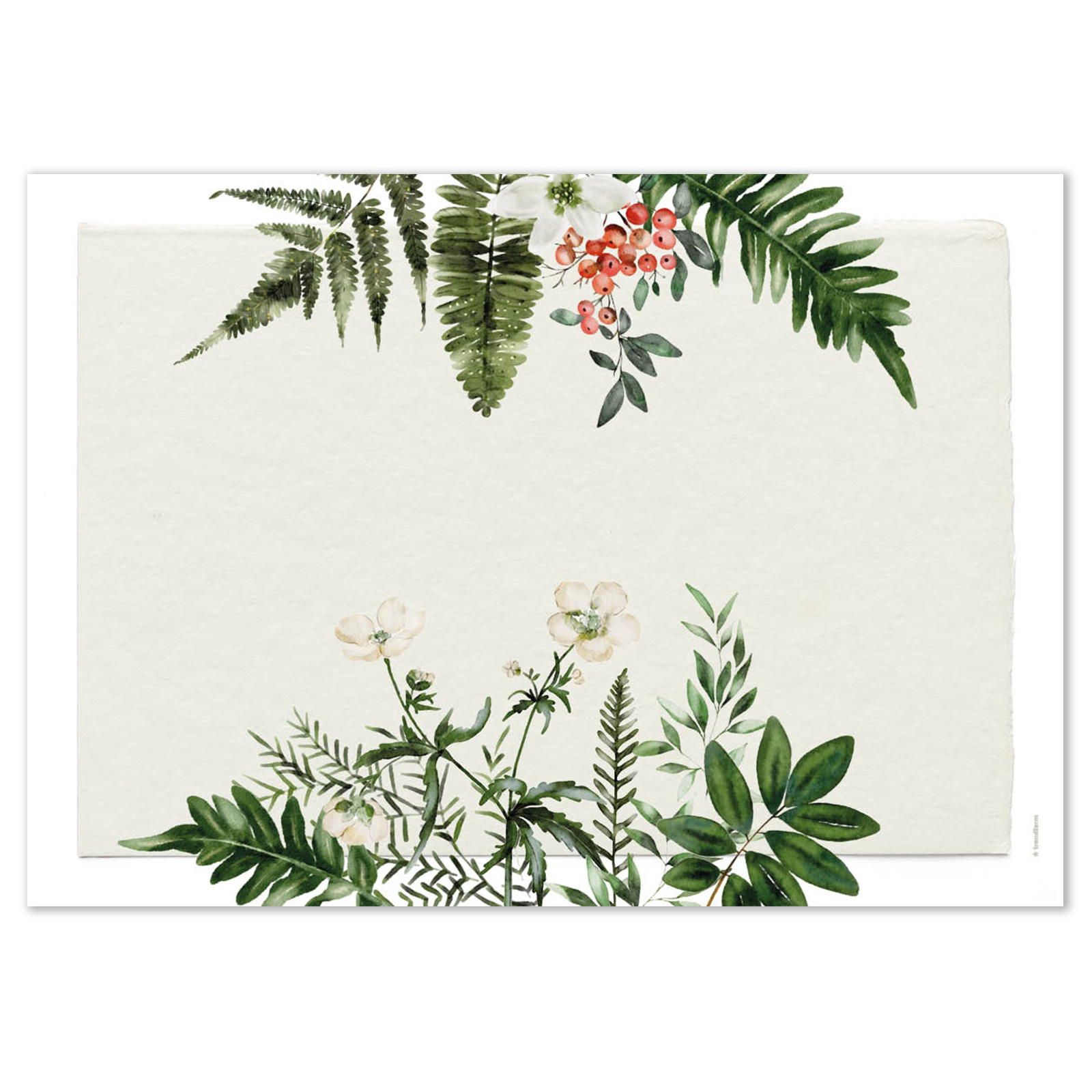 Papiertischset GREENHOUSE 4 Sujets à 12 Blatt