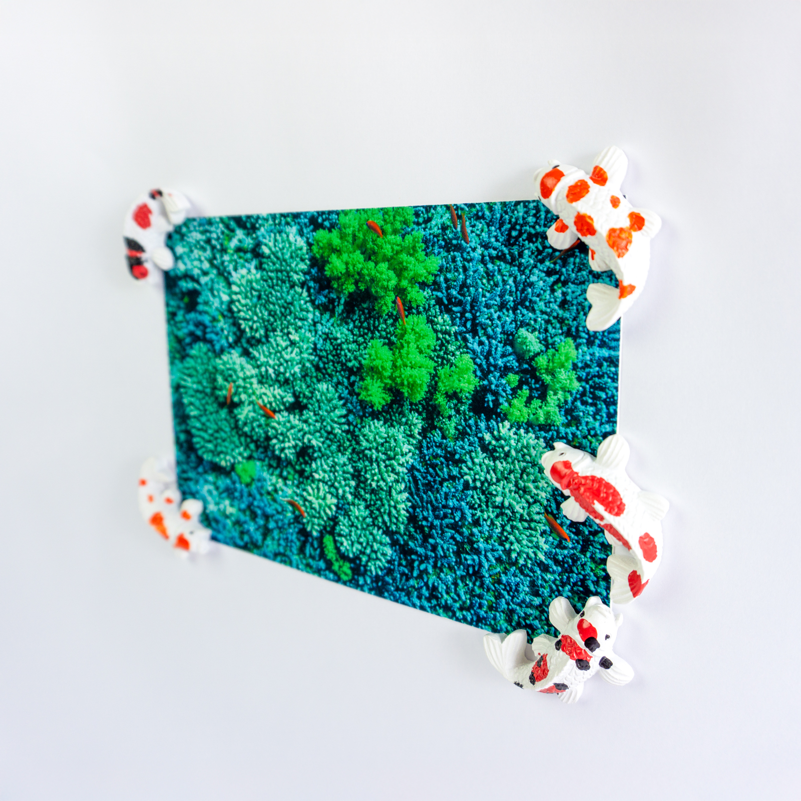 Magnete KOI 5er Set multicolor 