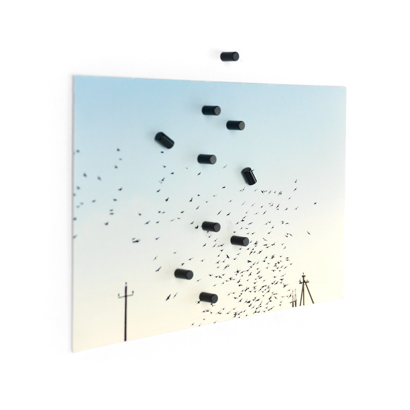 Magnete MAGNUM 10er Set schwarz 