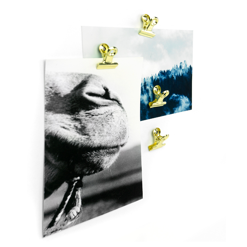 Magnetclip MINI-GRAFFA 4er Set messing 