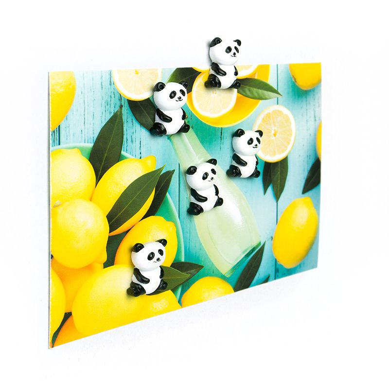 Magnete PANDA 5er Set  