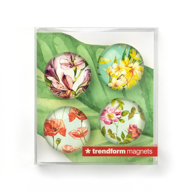 EYE-Magnete FLOWER 4er Set 