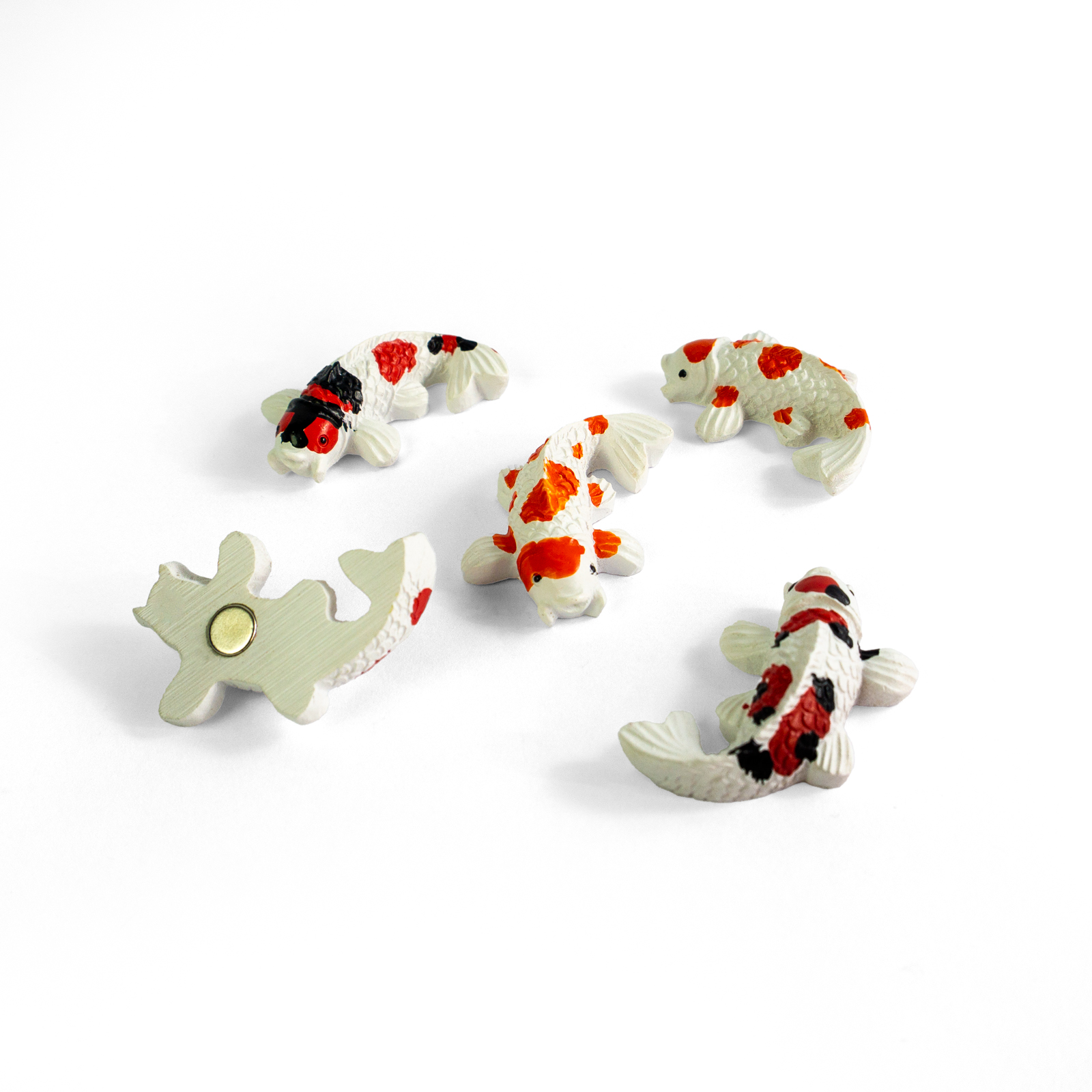 Magnete KOI 5er Set multicolor 
