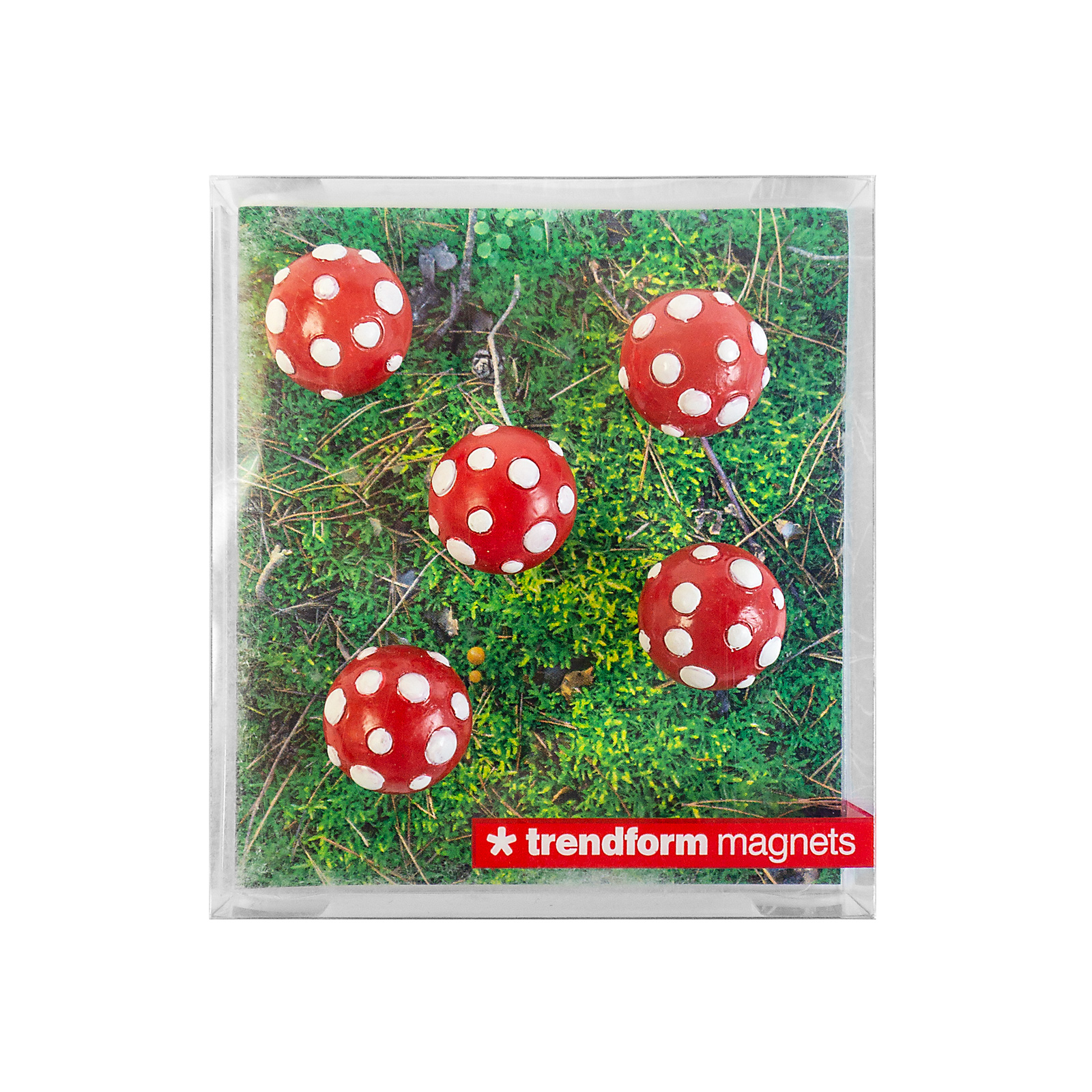 Magnete MUSHROOM 5er Set rot/weiss 
