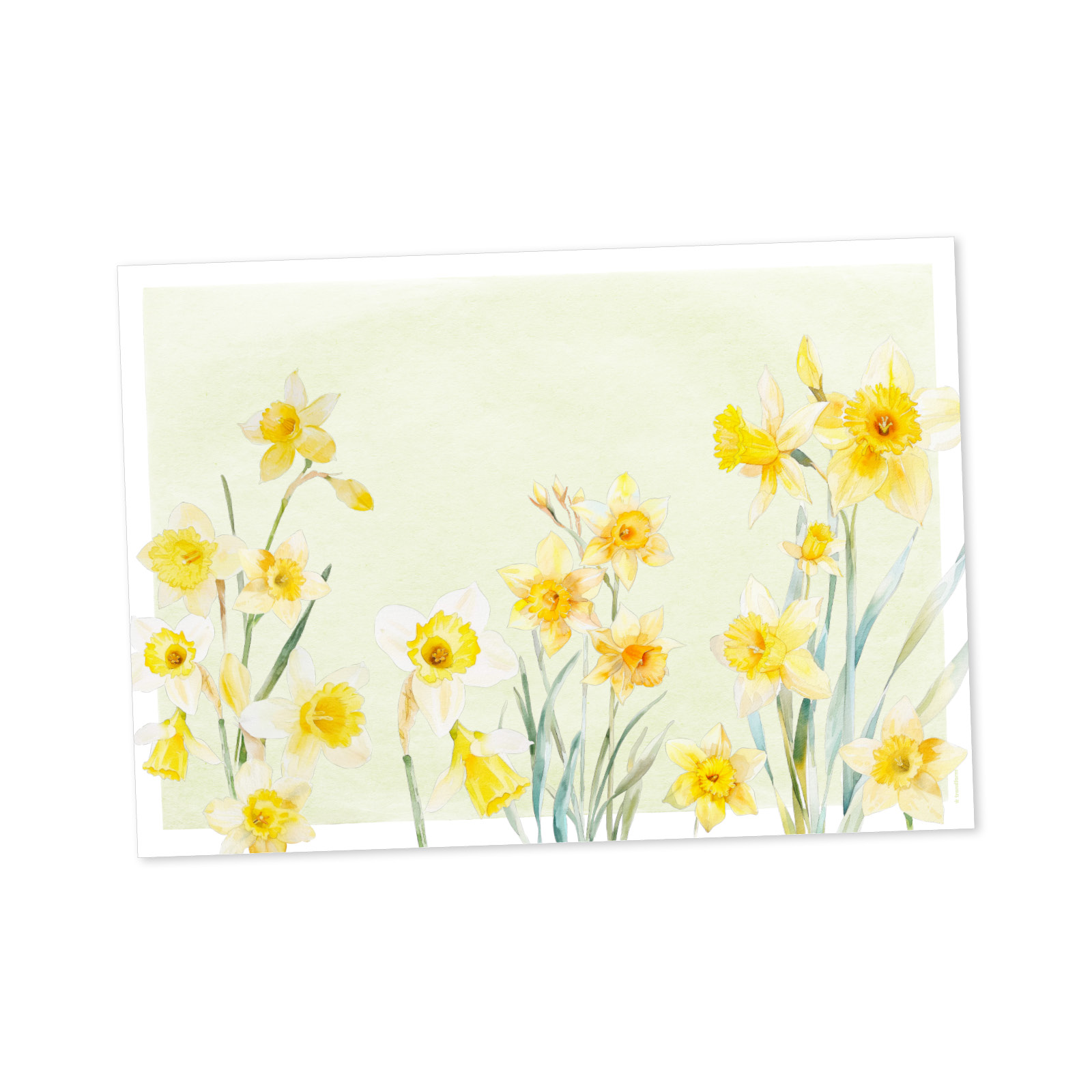 Papiertischset SUNNY BLOOM 4 Sujets à 12 Blatt