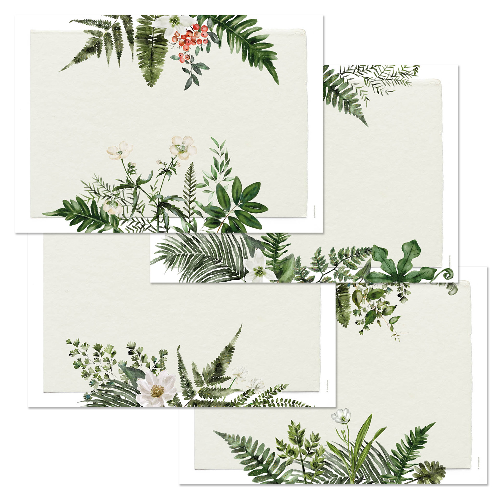 Papiertischset GREENHOUSE 4 Sujets à 12 Blatt