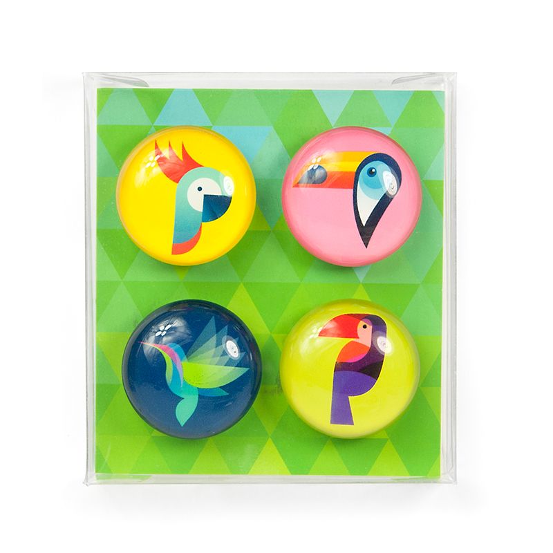 EYE-Magnete PARADISE 4er Set 