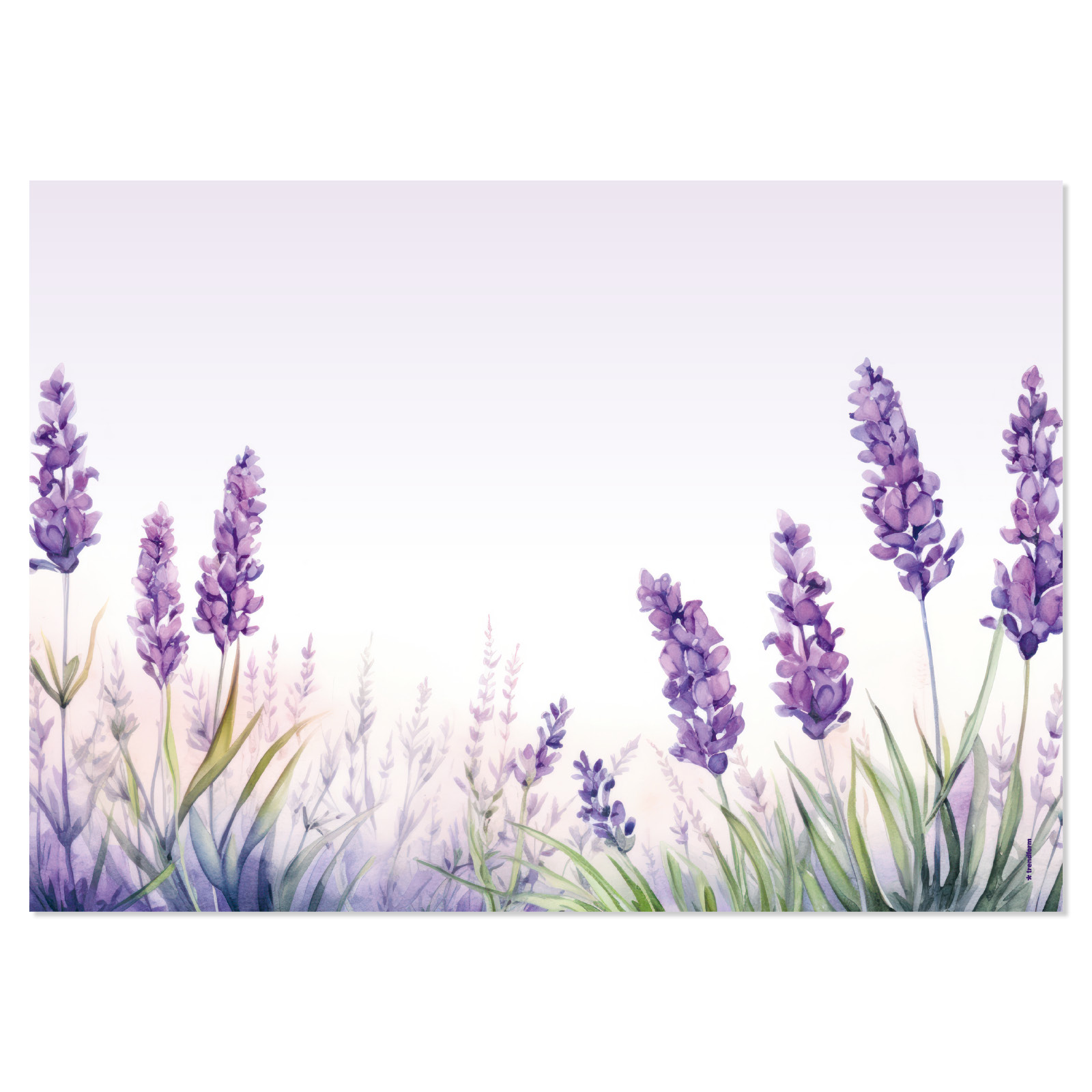 Papiertischset LAVENDER BREEZE Block à 25 Blatt, mit Lavendel-Duft