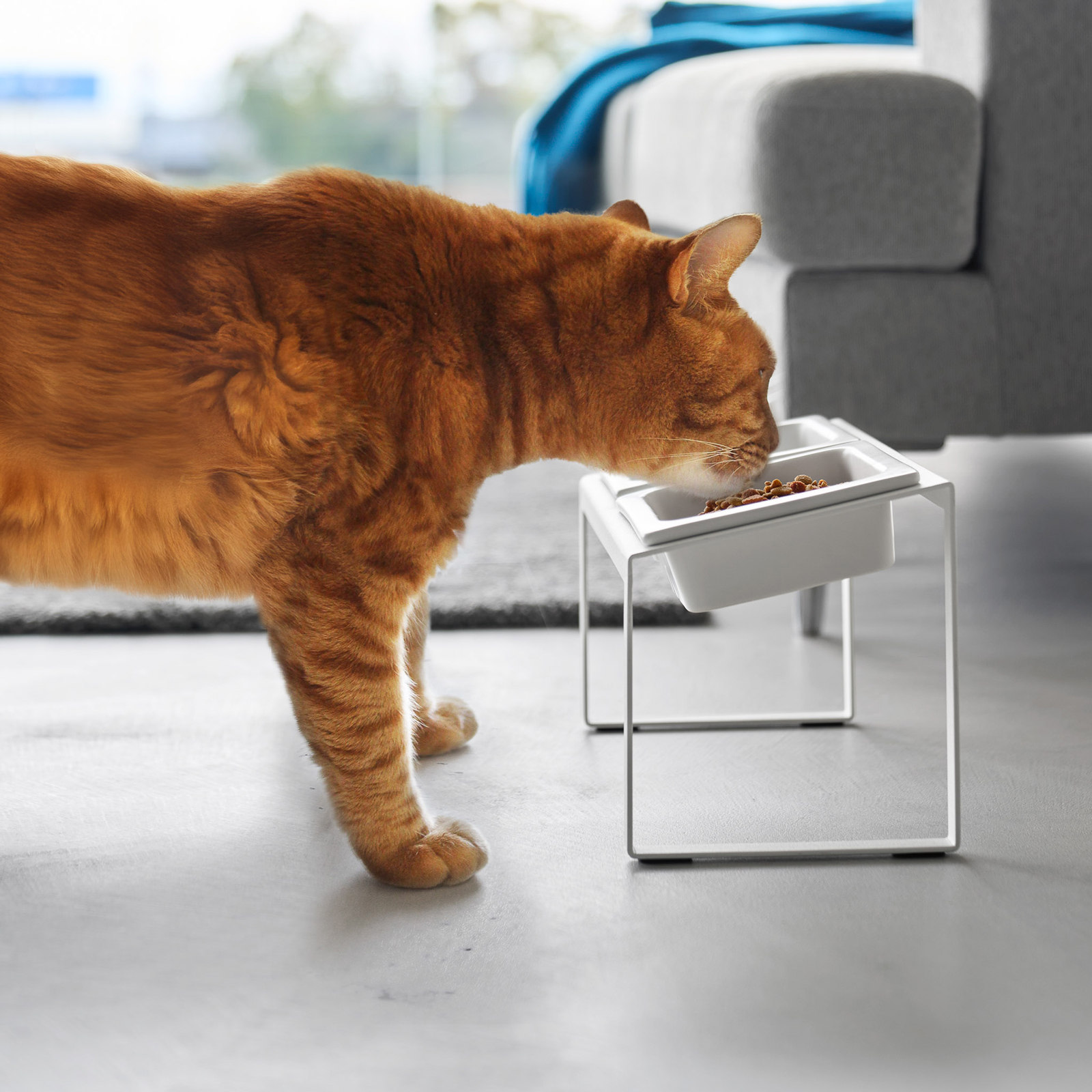 Angeschrägter Futternapf NOOKS weiss mit Anti-Schling-Einsatz & Ständer
