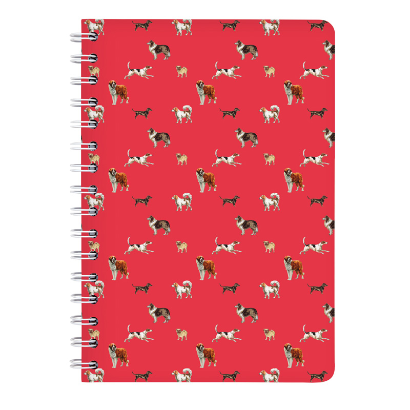 Ringbuch A5 BELLO 