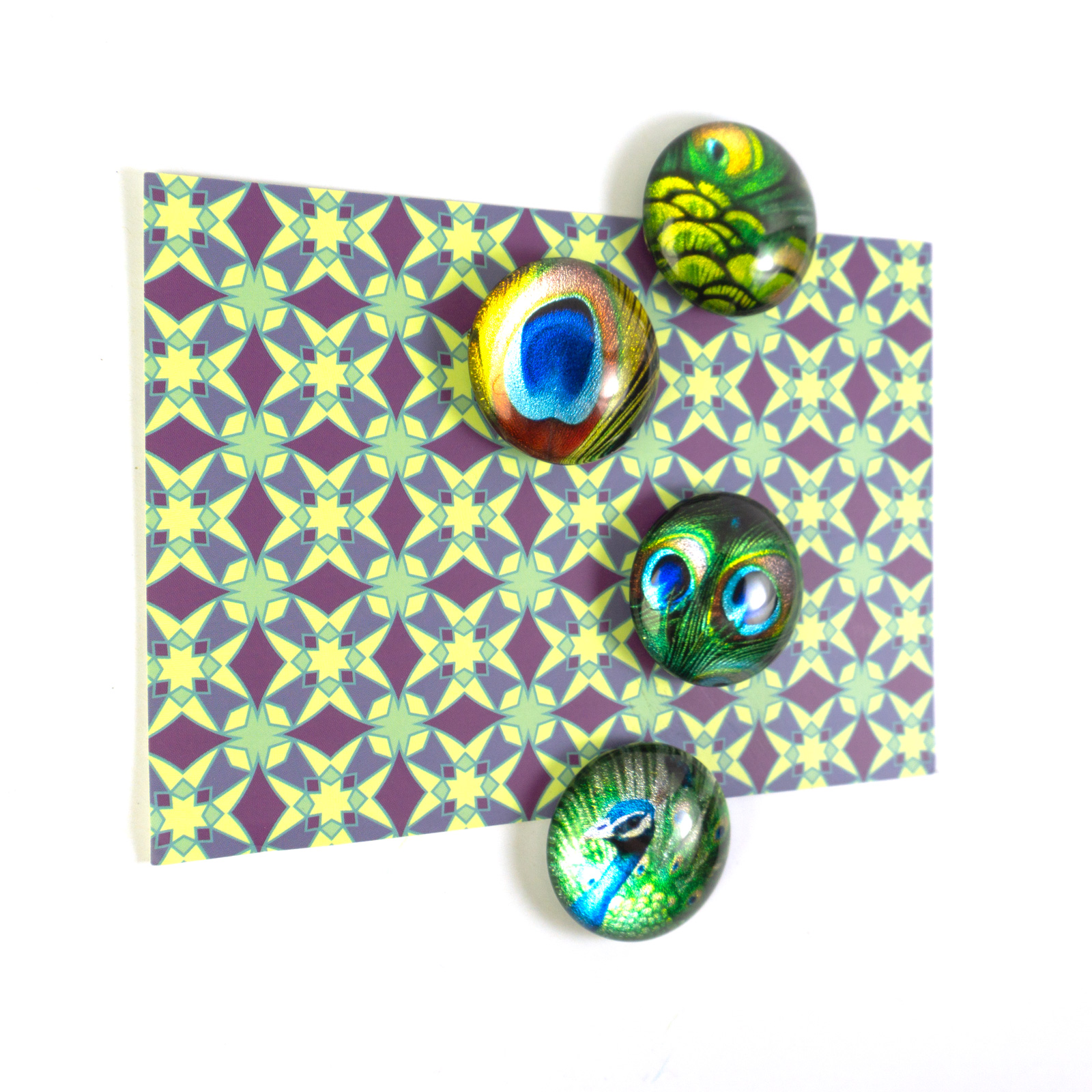 EYE-Magnete PEACOCK 4er Set 