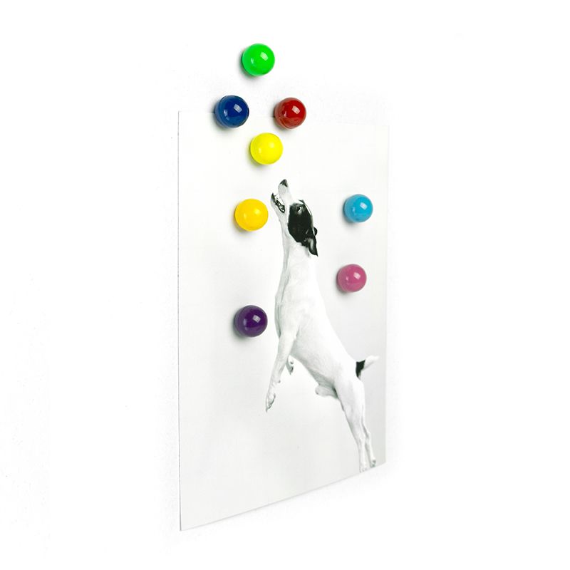 Magnete RAINBALL 8er Set  