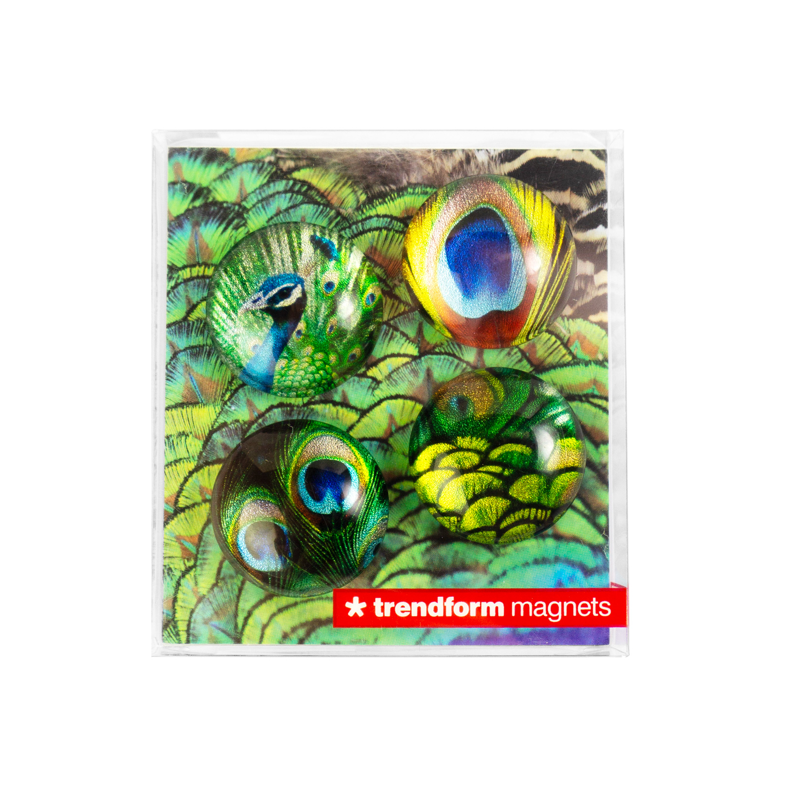EYE-Magnete PEACOCK 4er Set 