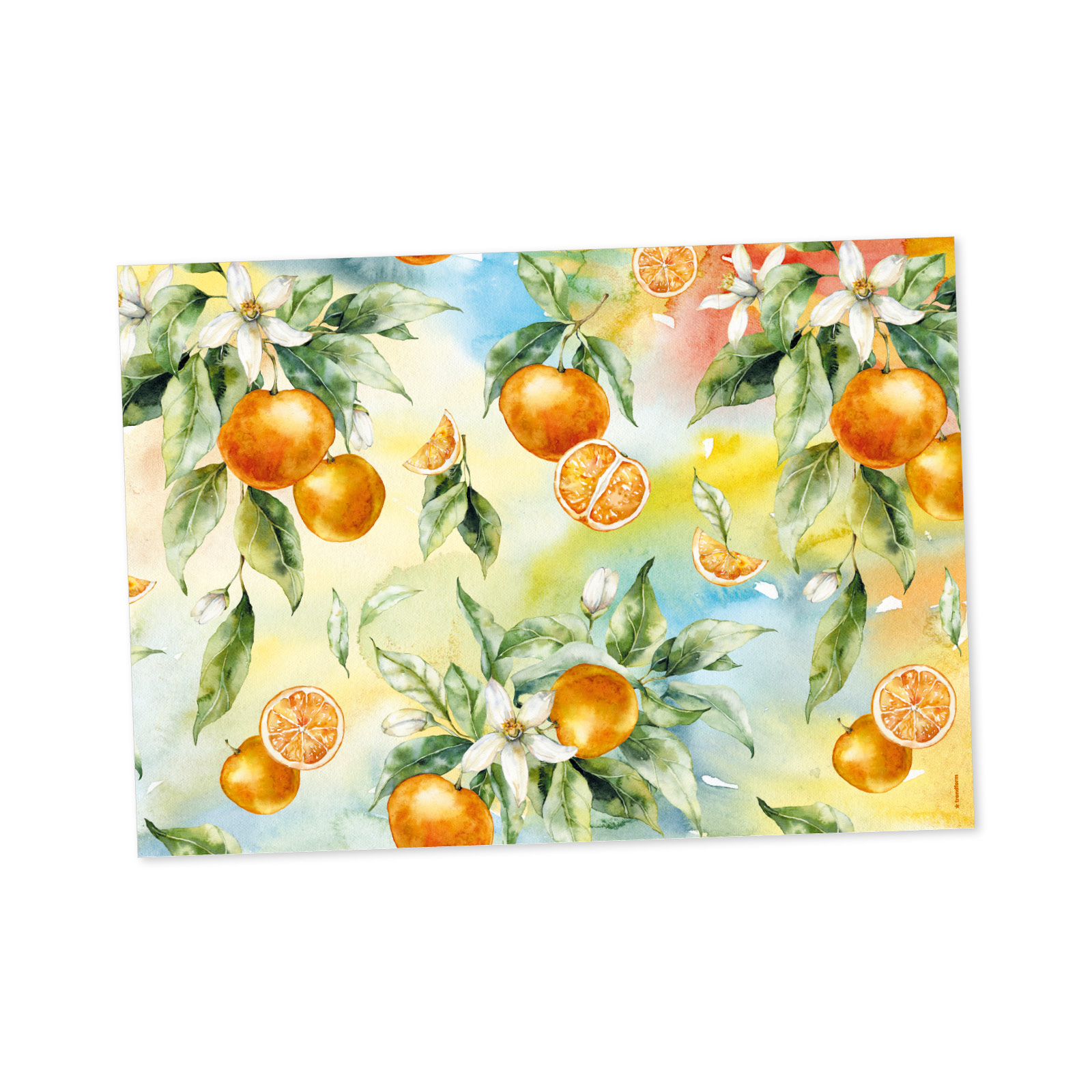 Papiertischset MEDITERANIA 4 Sujets à 12 Blatt