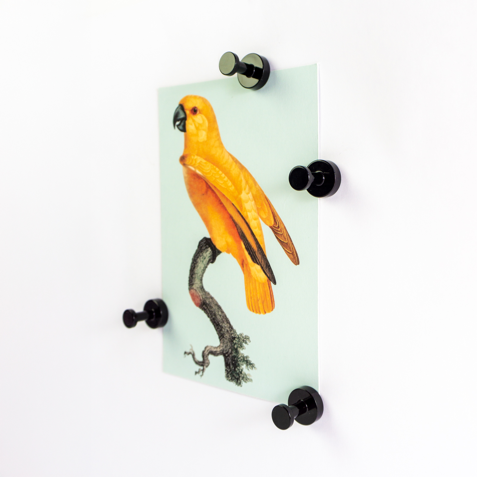 Superstrong Magnets HANG ON! 4er Set schwarz anti-slip