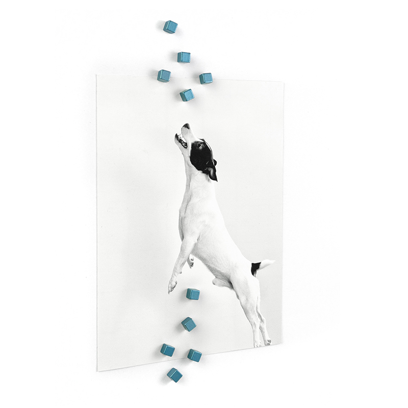 Magnete KUBIQ 10er Set blau 
