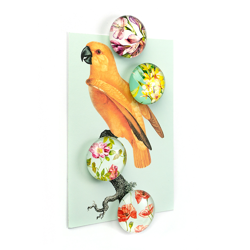 EYE-Magnete FLOWER 4er Set 