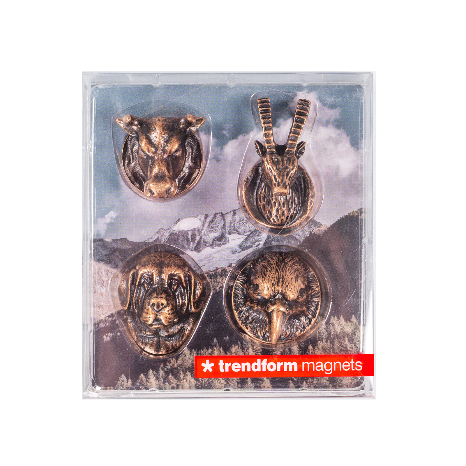 Magnete BELLA & FRIENDS 4er Set bronze 