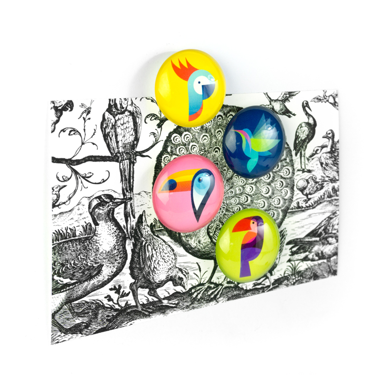 EYE-Magnete PARADISE 4er Set 