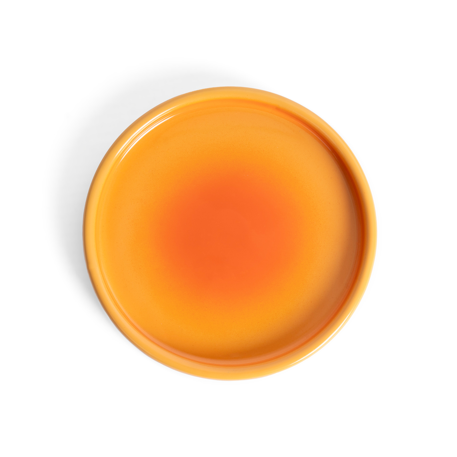 PLATE DEGRADED EARTH 