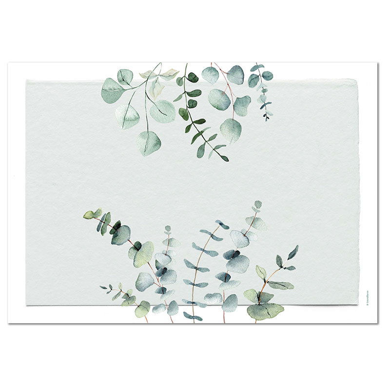 Papiertischset EUCALYPTUS 4 Sujets à 12 Blatt