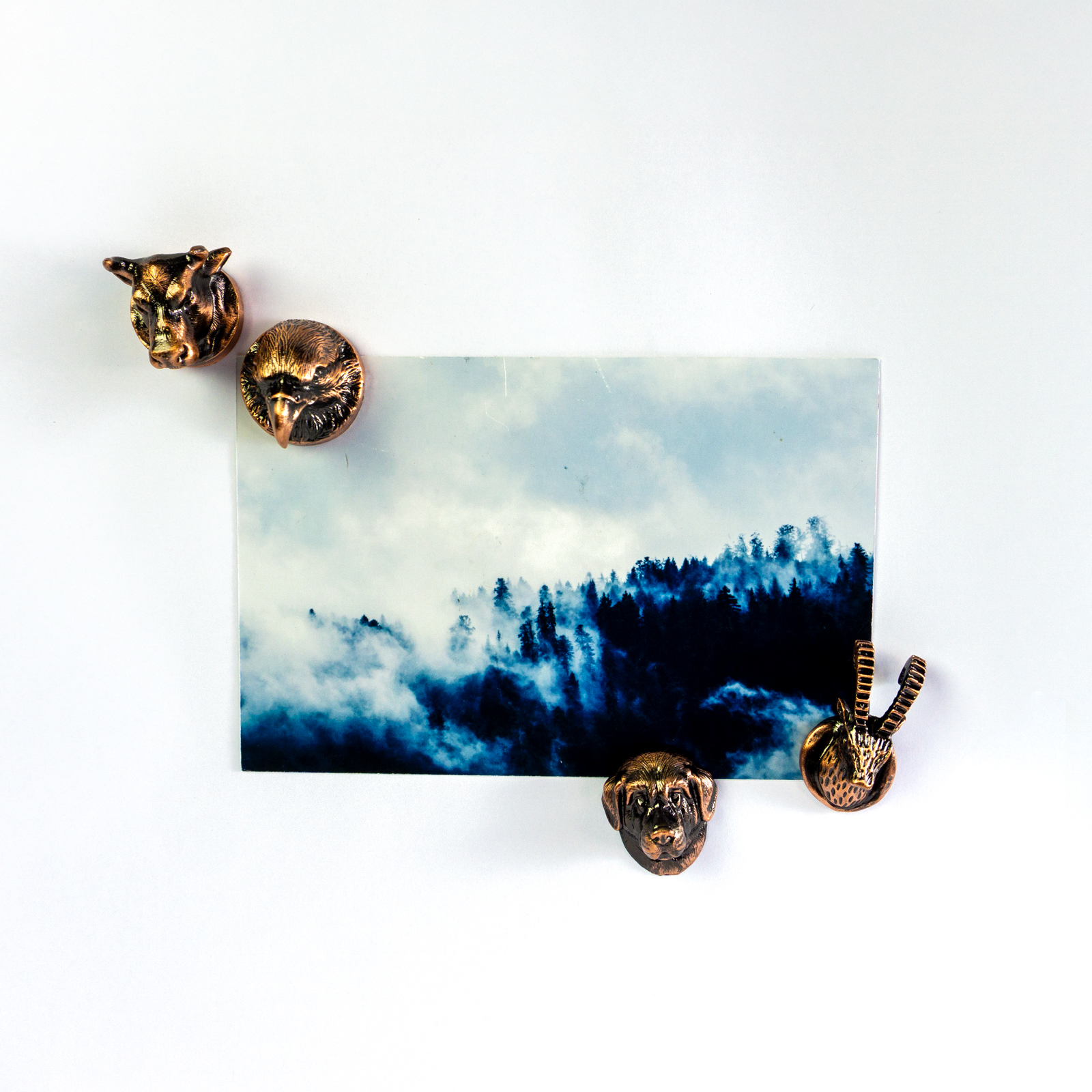 Magnete BELLA & FRIENDS 4er Set bronze 