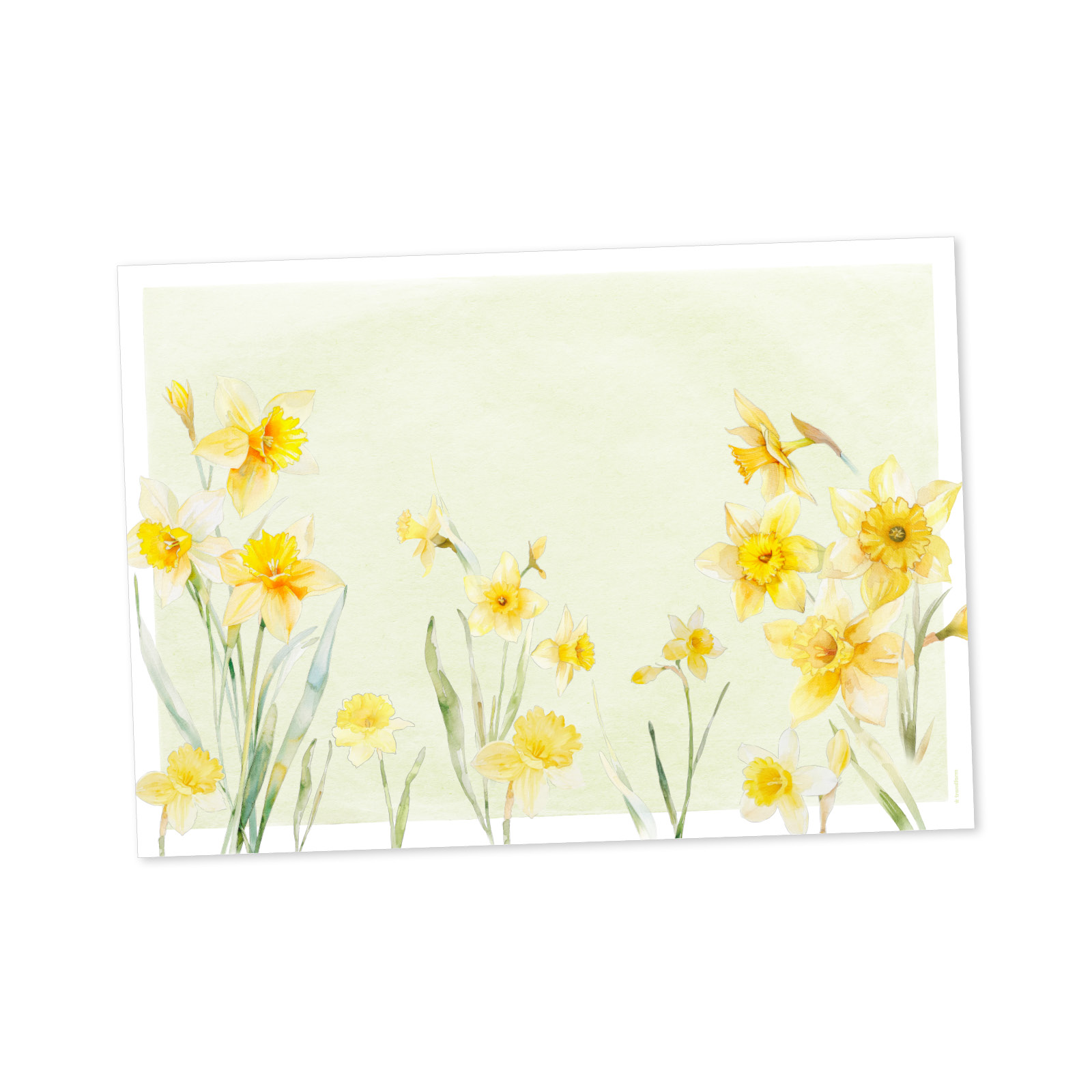 Papiertischset SUNNY BLOOM 4 Sujets à 12 Blatt