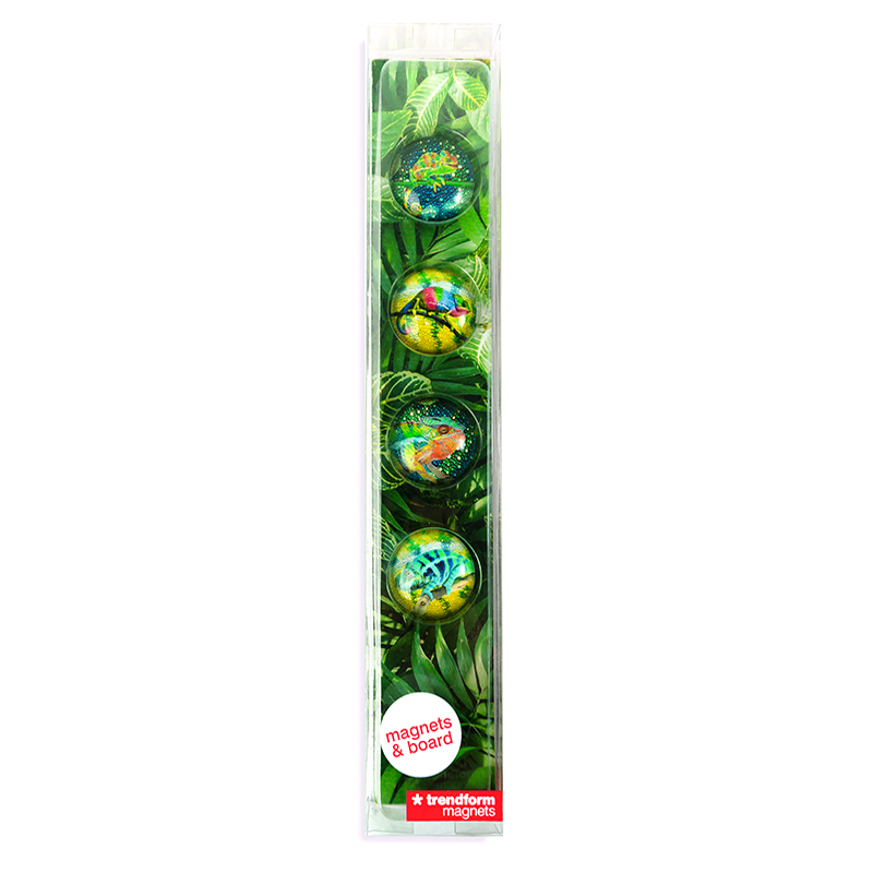 STORY BOX CHAMELEON Magnete & Magnetleiste 