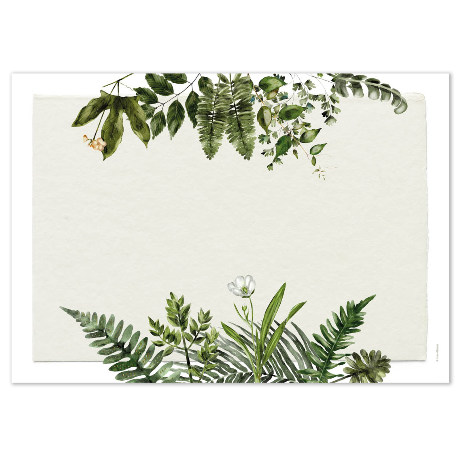 Papiertischset GREENHOUSE 4 Sujets à 12 Blatt