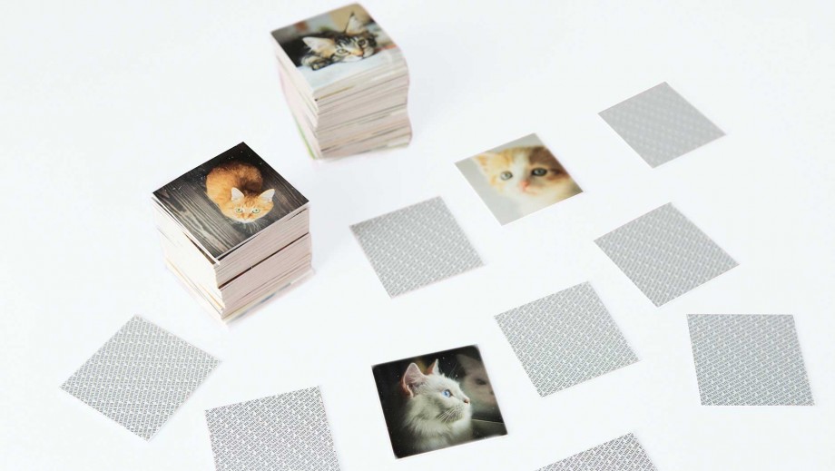 Gedächtnisspiel 44 Cats in der Magnetbox