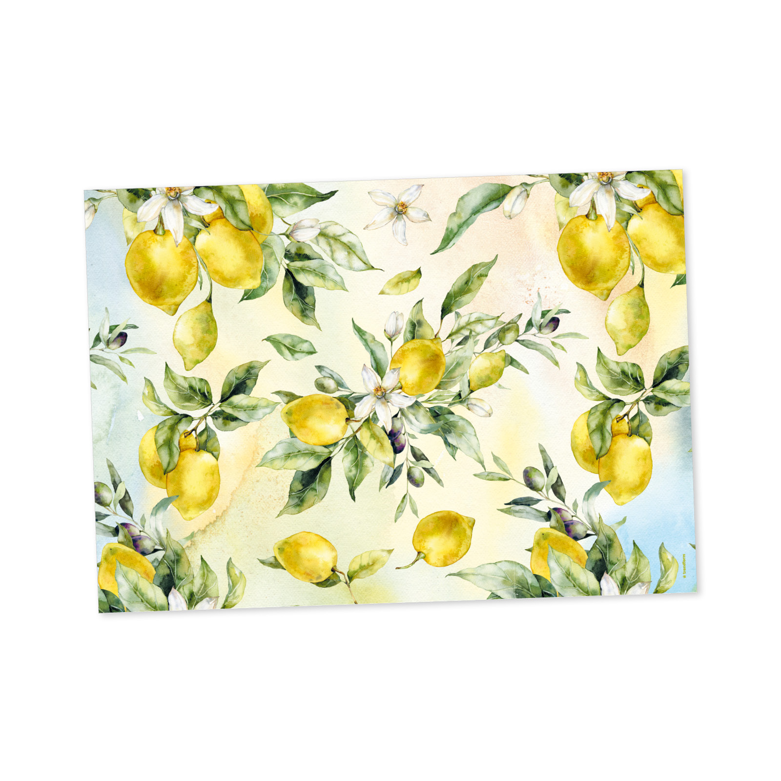 Papiertischset MEDITERANIA 4 Sujets à 12 Blatt
