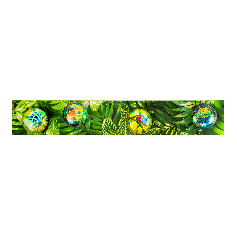 STORY BOX CHAMELEON Magnete & Magnetleiste 
