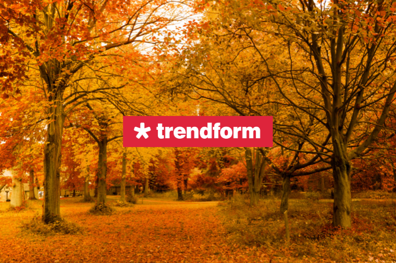 Herbstliche Trends: Must-Haves im goldenen Herbst