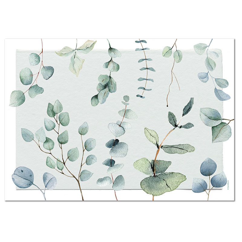 Papiertischset EUCALYPTUS 4 Sujets à 12 Blatt