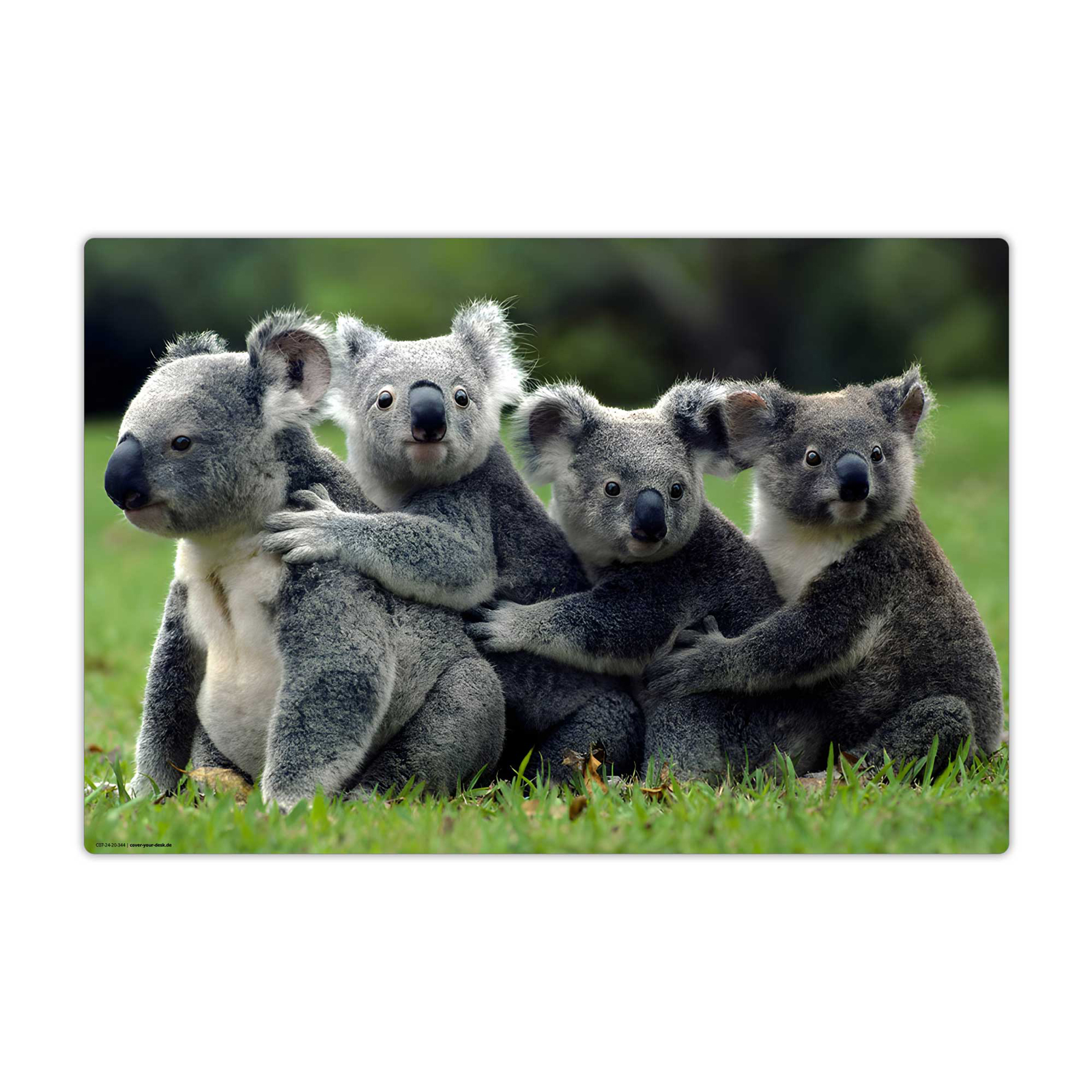 Schreibunterlage KOALA 