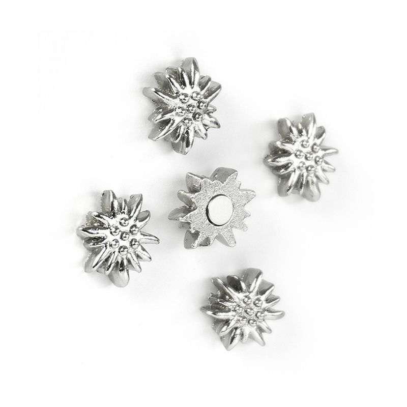 Magnete EDELWEISS 5er Set silber 