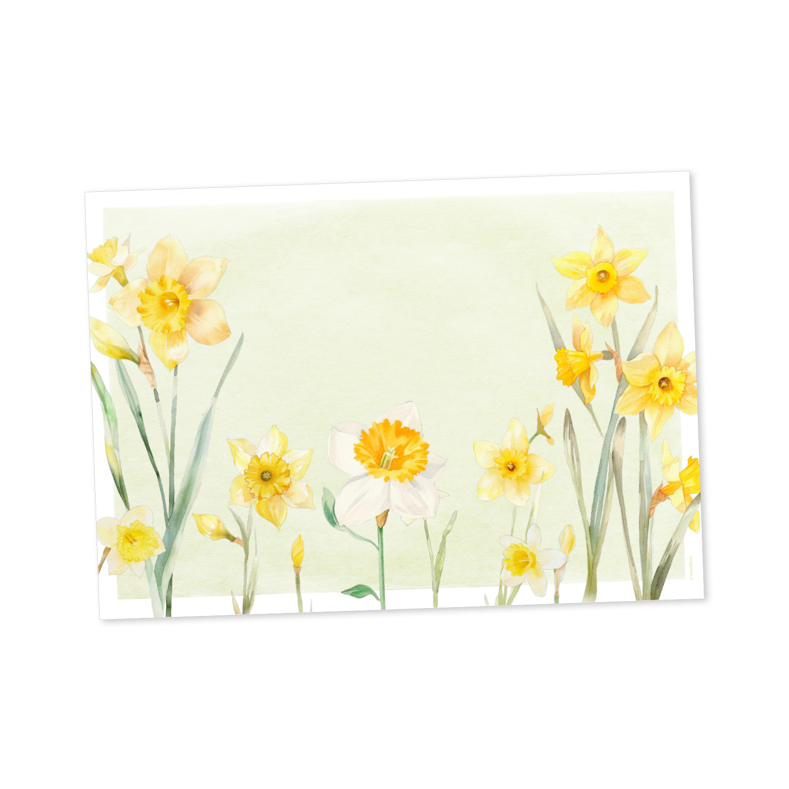 Papiertischset SUNNY BLOOM 4 Sujets à 12 Blatt