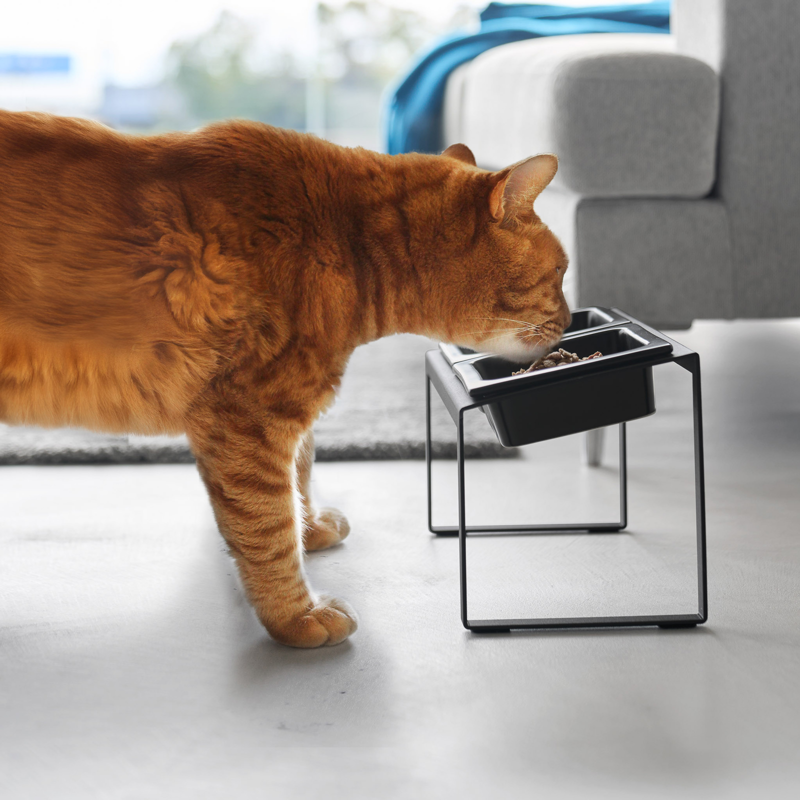 Angeschrägter Futternapf NOOKS schwarz mit Anti-Schling-Einsatz & Ständer