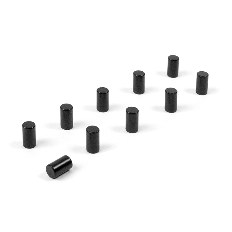 Magnete MAGNUM 10er Set schwarz 