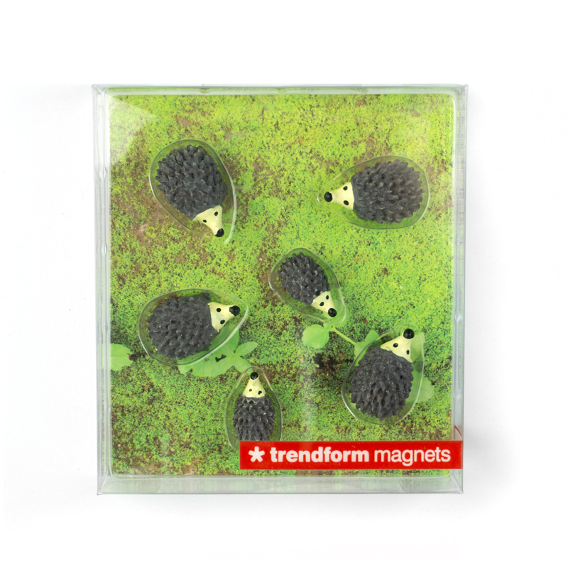 Magnete HEDGEHOG 6er Set grau 