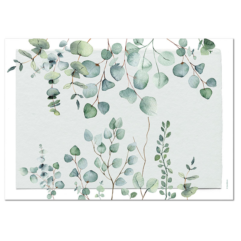 Papiertischset EUCALYPTUS 4 Sujets à 12 Blatt