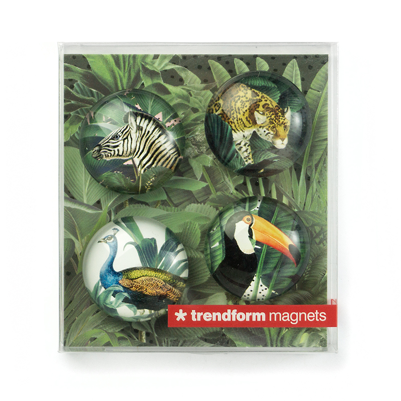 EYE-Magnete ROYAL GARDEN 4er Set 