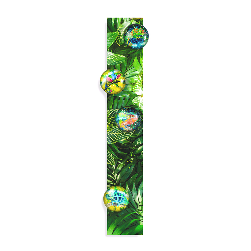 STORY BOX CHAMELEON Magnete & Magnetleiste 